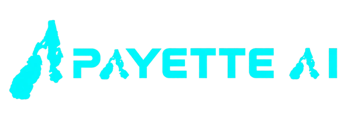 Payette AI — lake emblem and wordmark